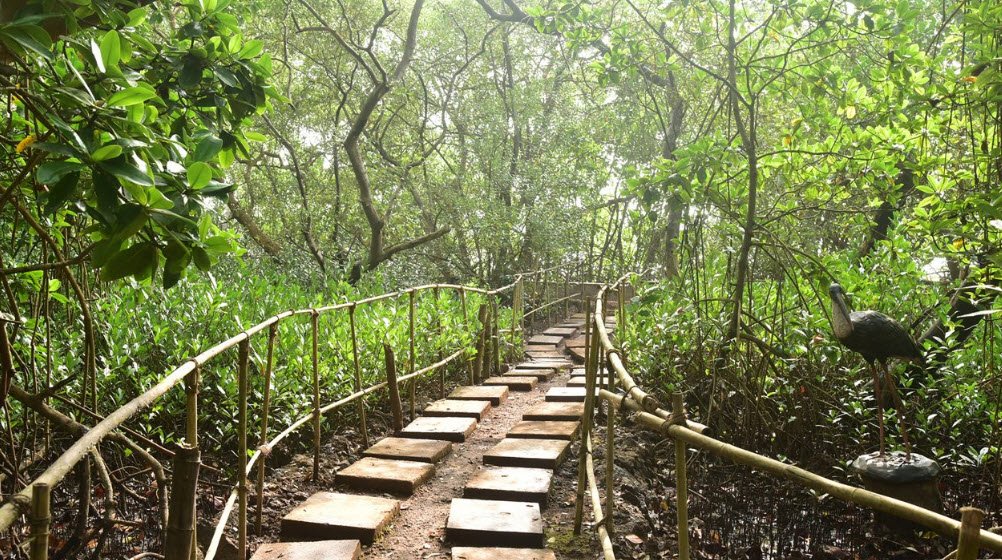 Salim Ali Bird Sanctuary